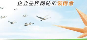 重慶網(wǎng)站建設(shè)